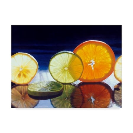 Cecile Baird 'Juicy Fruit' Canvas Art,18x24